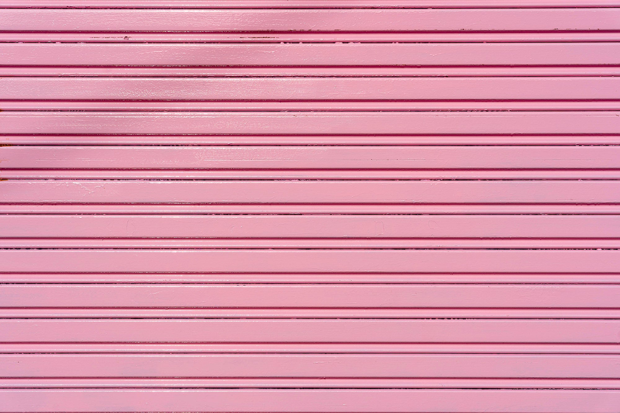 Pink Wall Panel – The Backdrop Shop