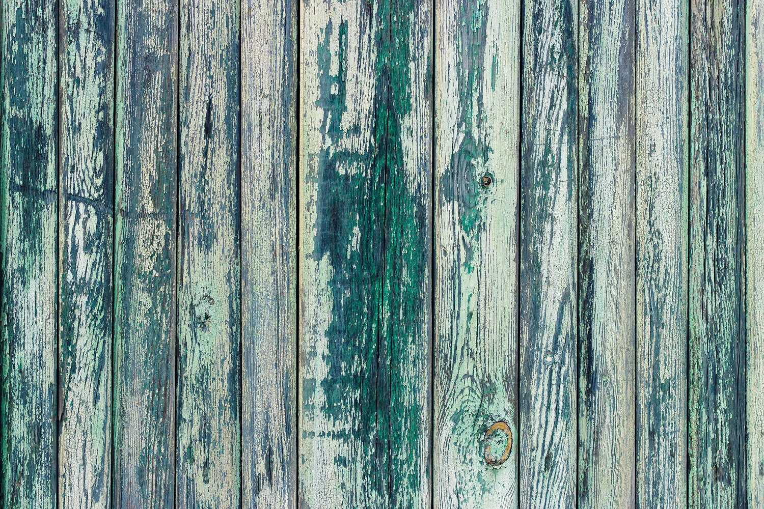 Green Table – The Backdrop Shop