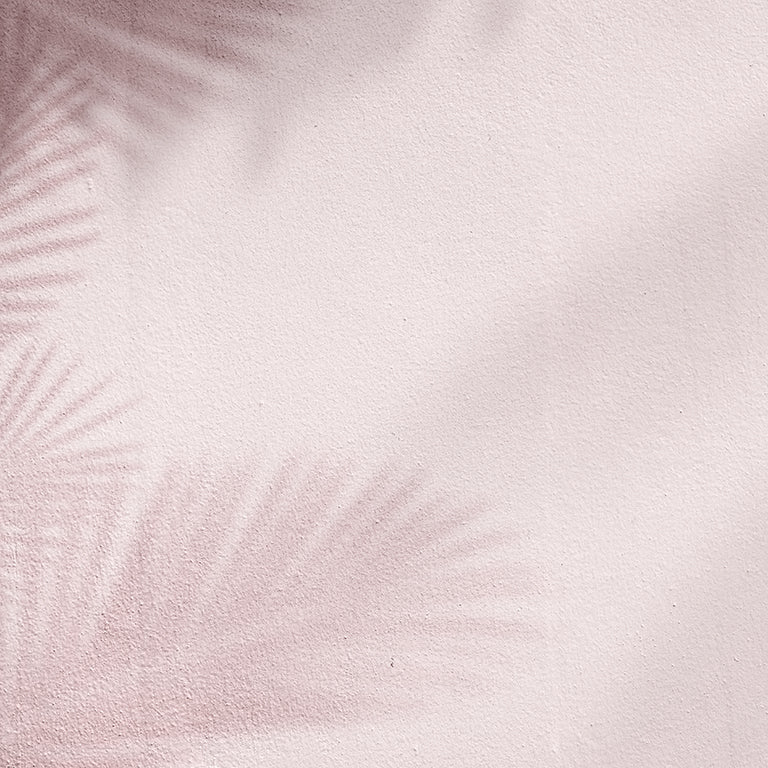 Palm Tree in Pink