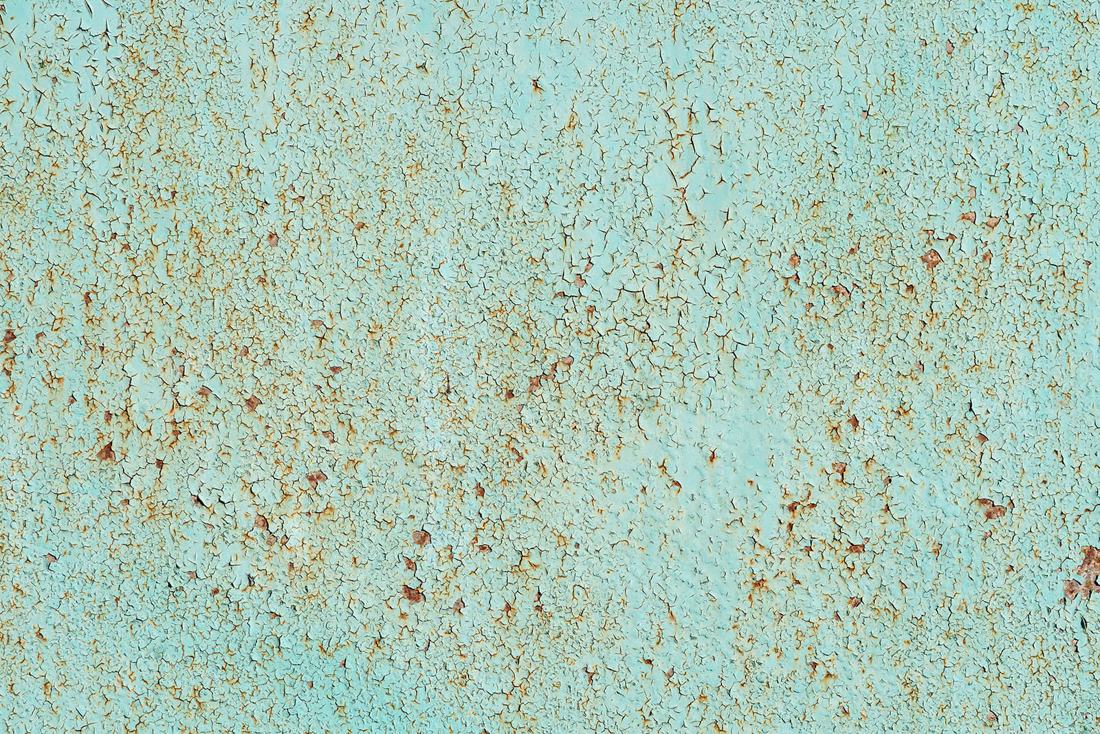 #219 Rusty Mint – The Backdrop Shop